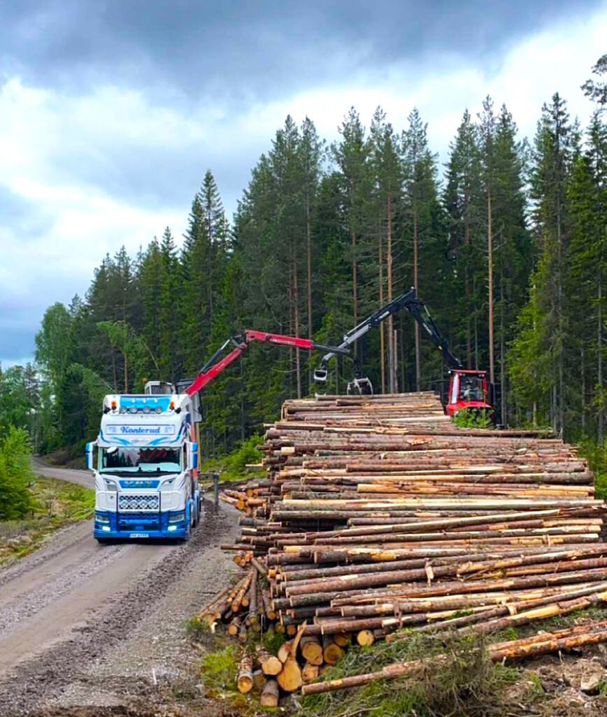 Viser tømmerbil ved lunne