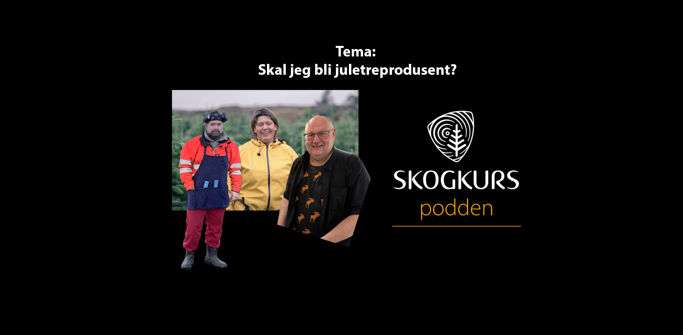 Skal jeg bli juletreprodusent?