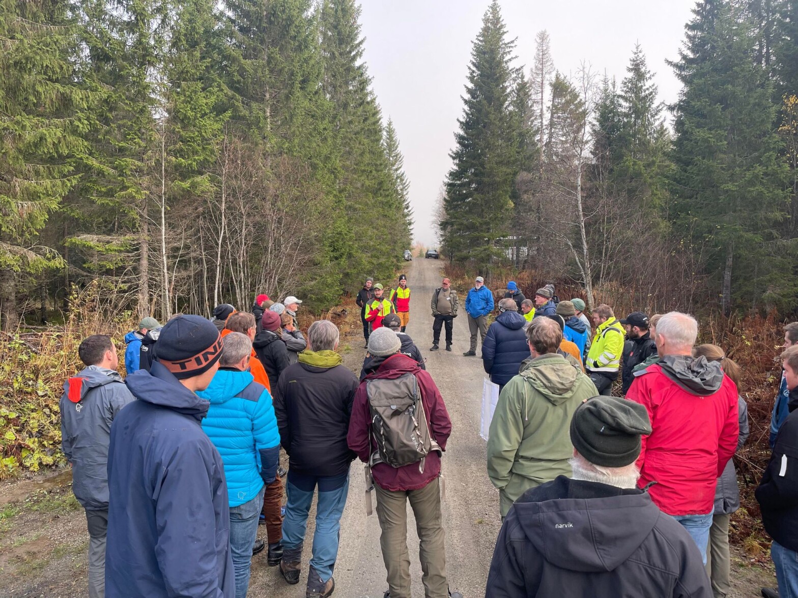 Belønning for å få bedre skogveinett