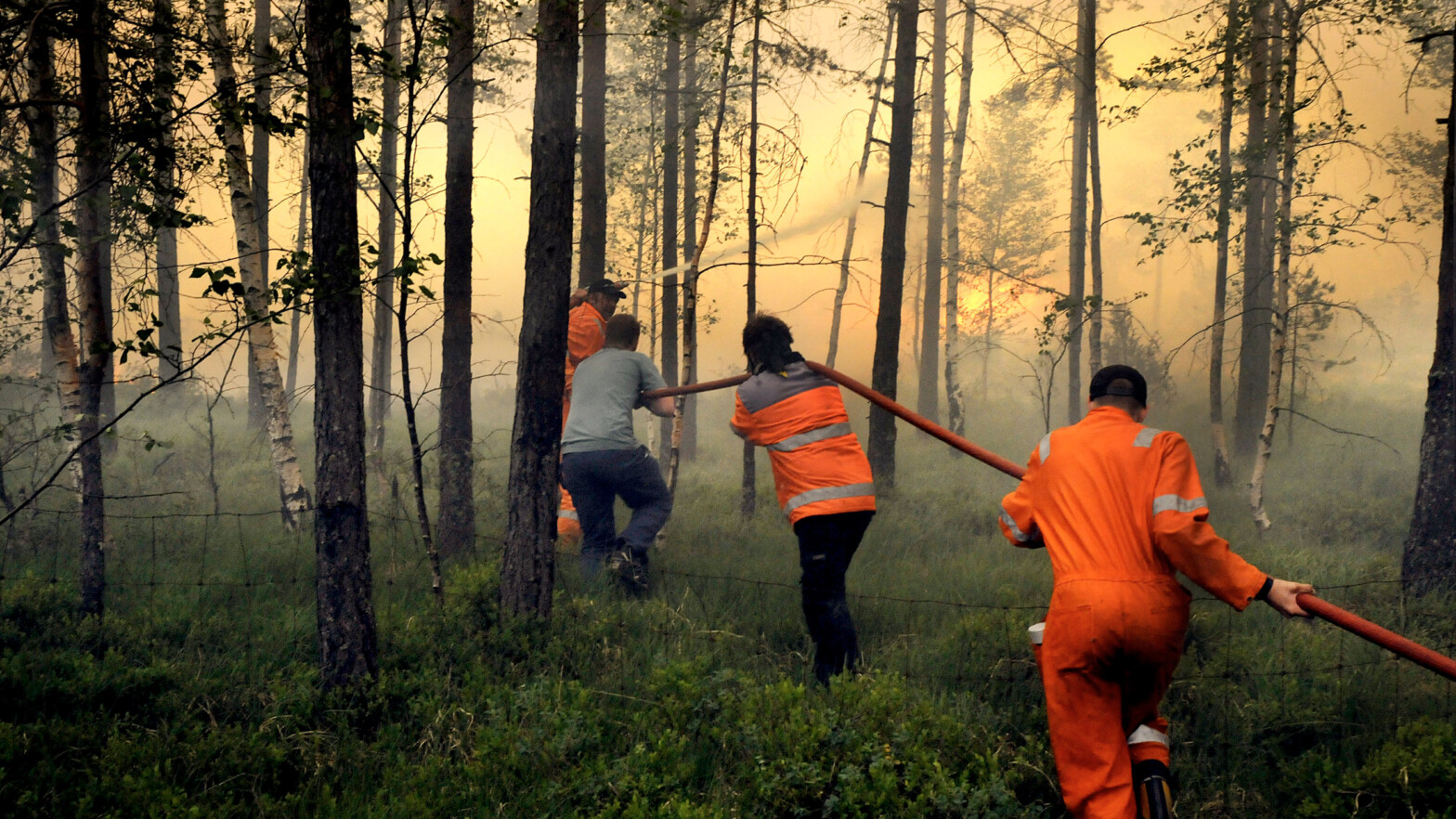 Viser brannvesenet i aksjon. flere personer på vei inn i område med skogbrann med vannslange.