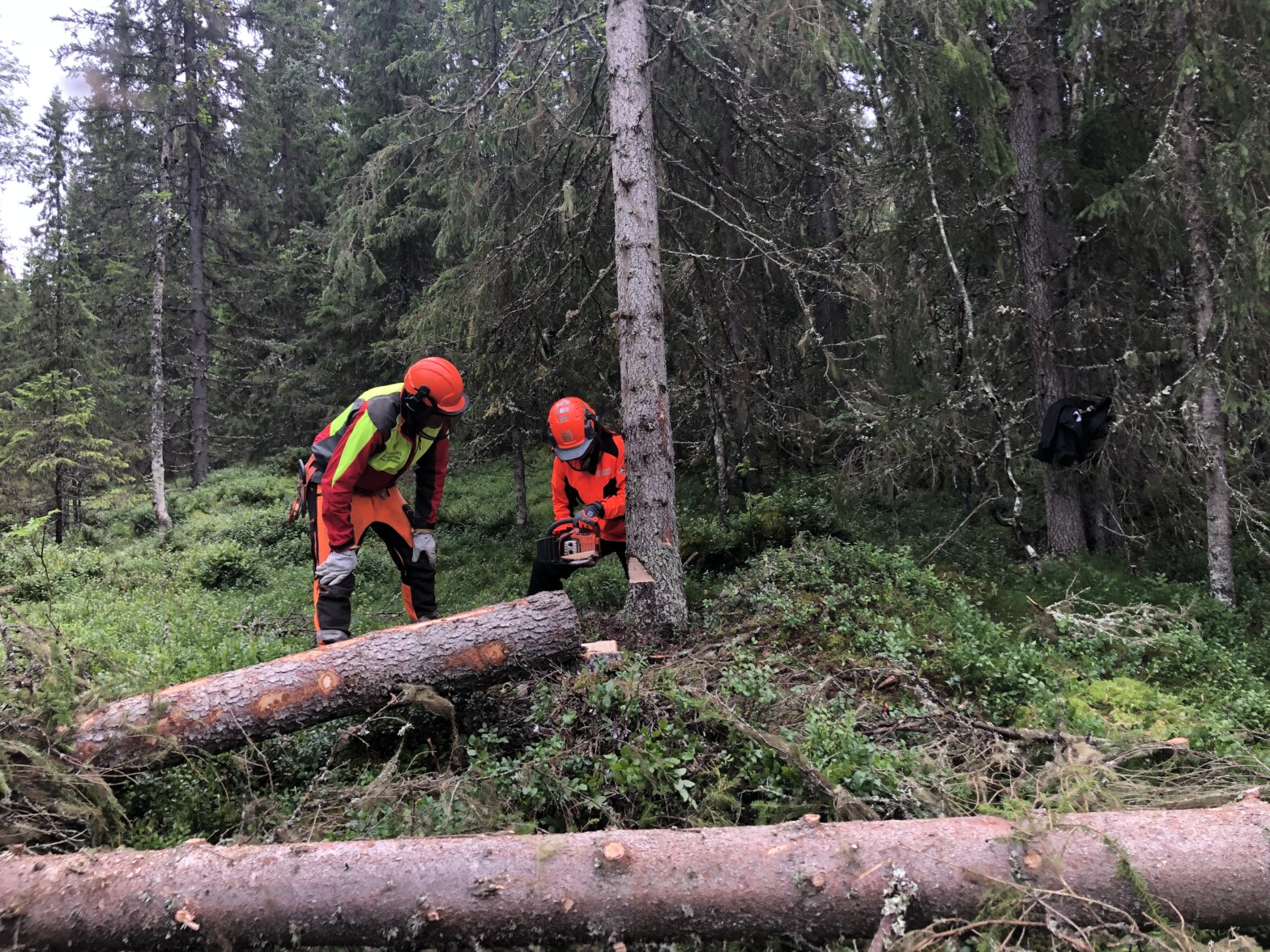 Økning i prak­tiske kurs