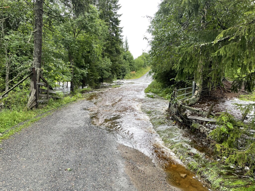 Vann i vei. Foto: Martin Bråthen, Skogkurs.