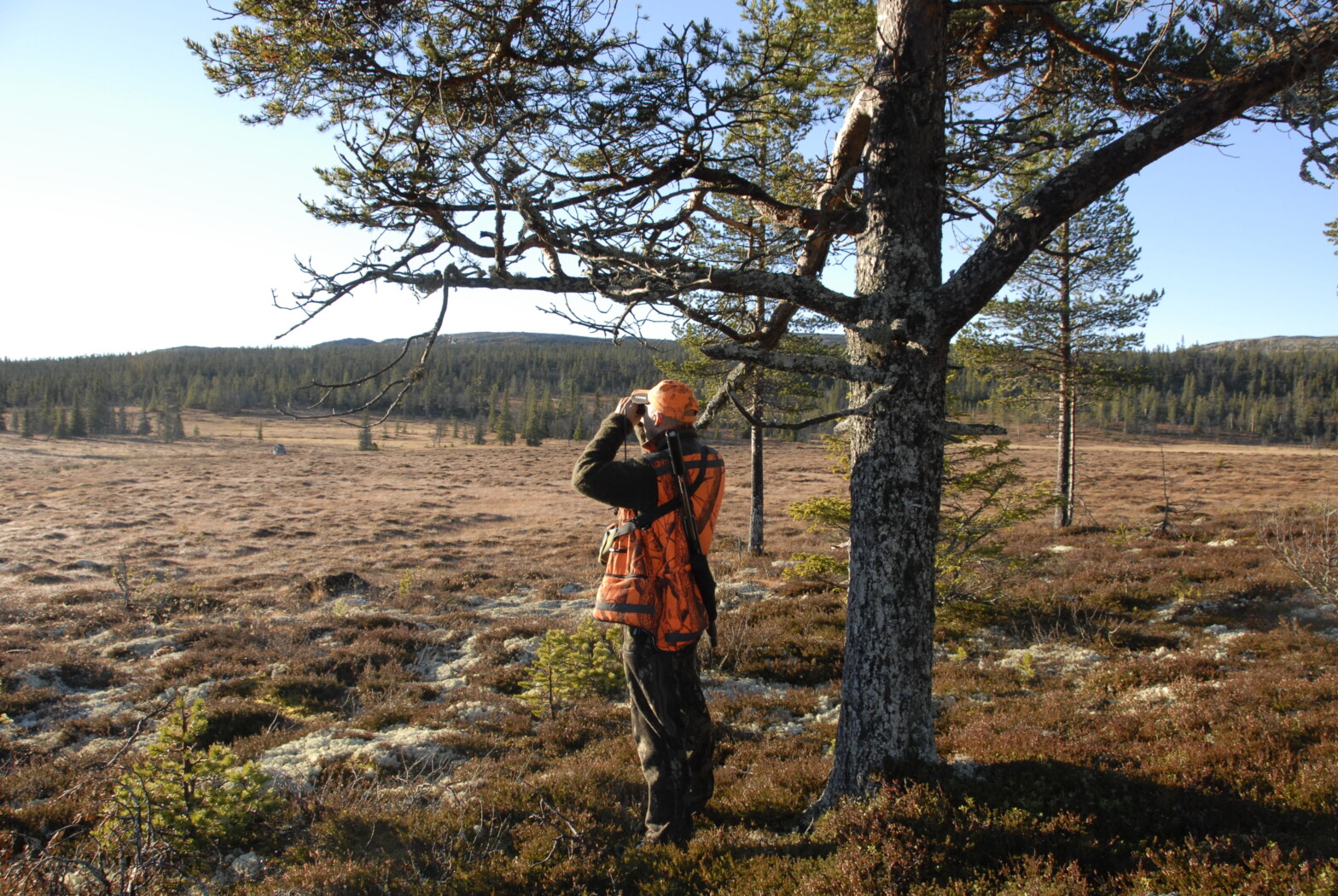 Jeger med børse på ryggen. ser i en kikkert utover et jakgtfelt på fjellet.