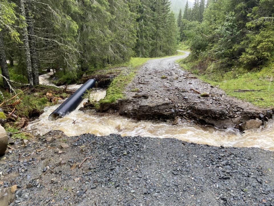 Slik bruker du natur­skade­er­stat­ning på skogsvei