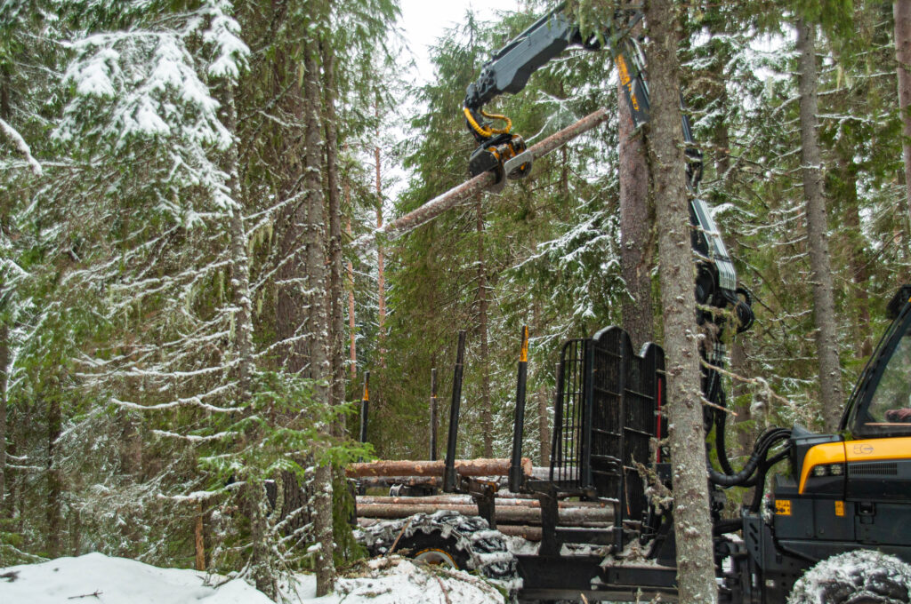 Lassbærer løfter høyt. Foto: Bjørn Einar Rakstang/Skogkurs.