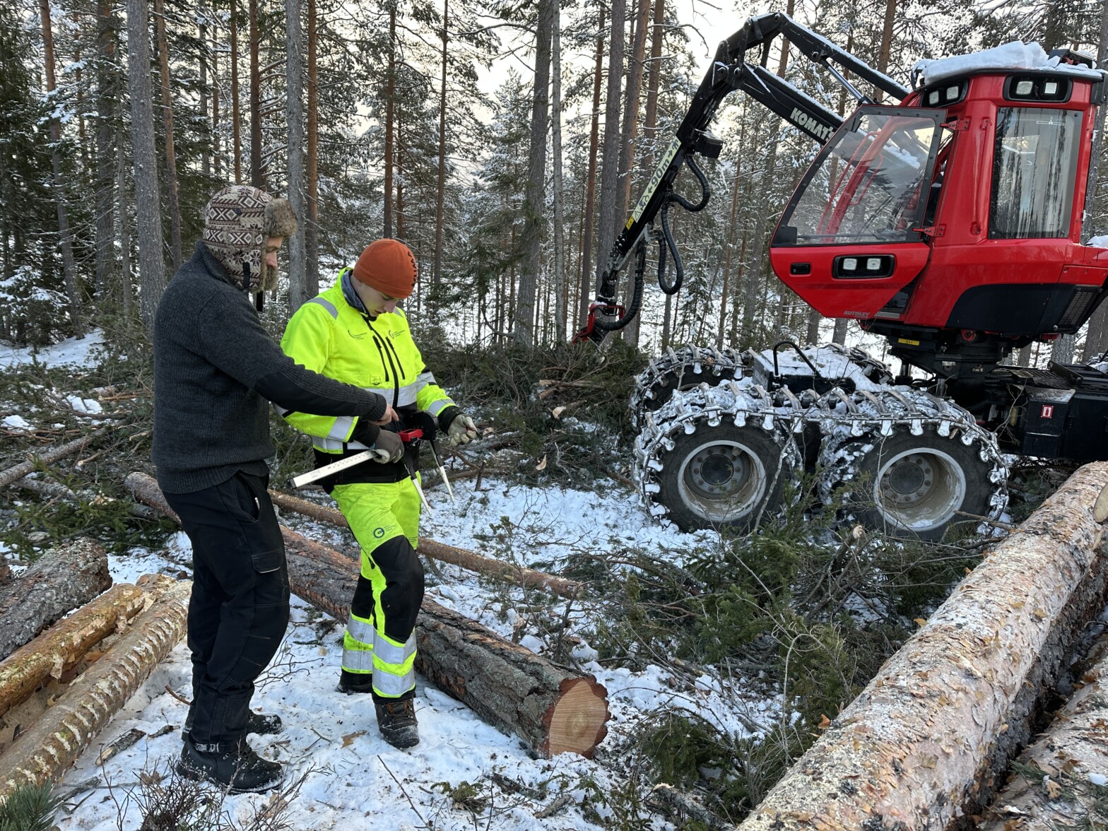 Etterlyser lik praksis for under­vis­ning i skogbruksskolene