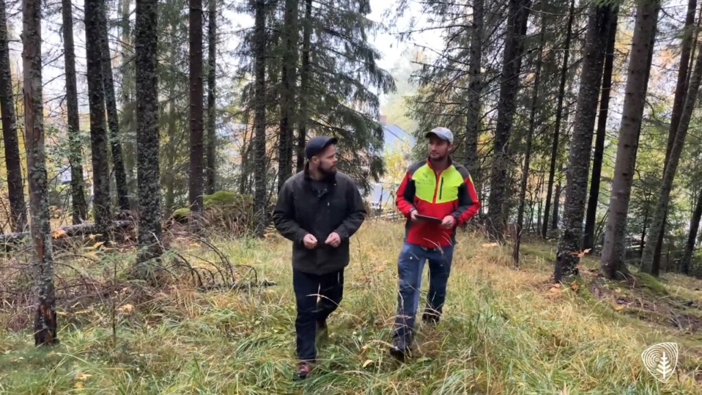 Skogeier får veiledning.