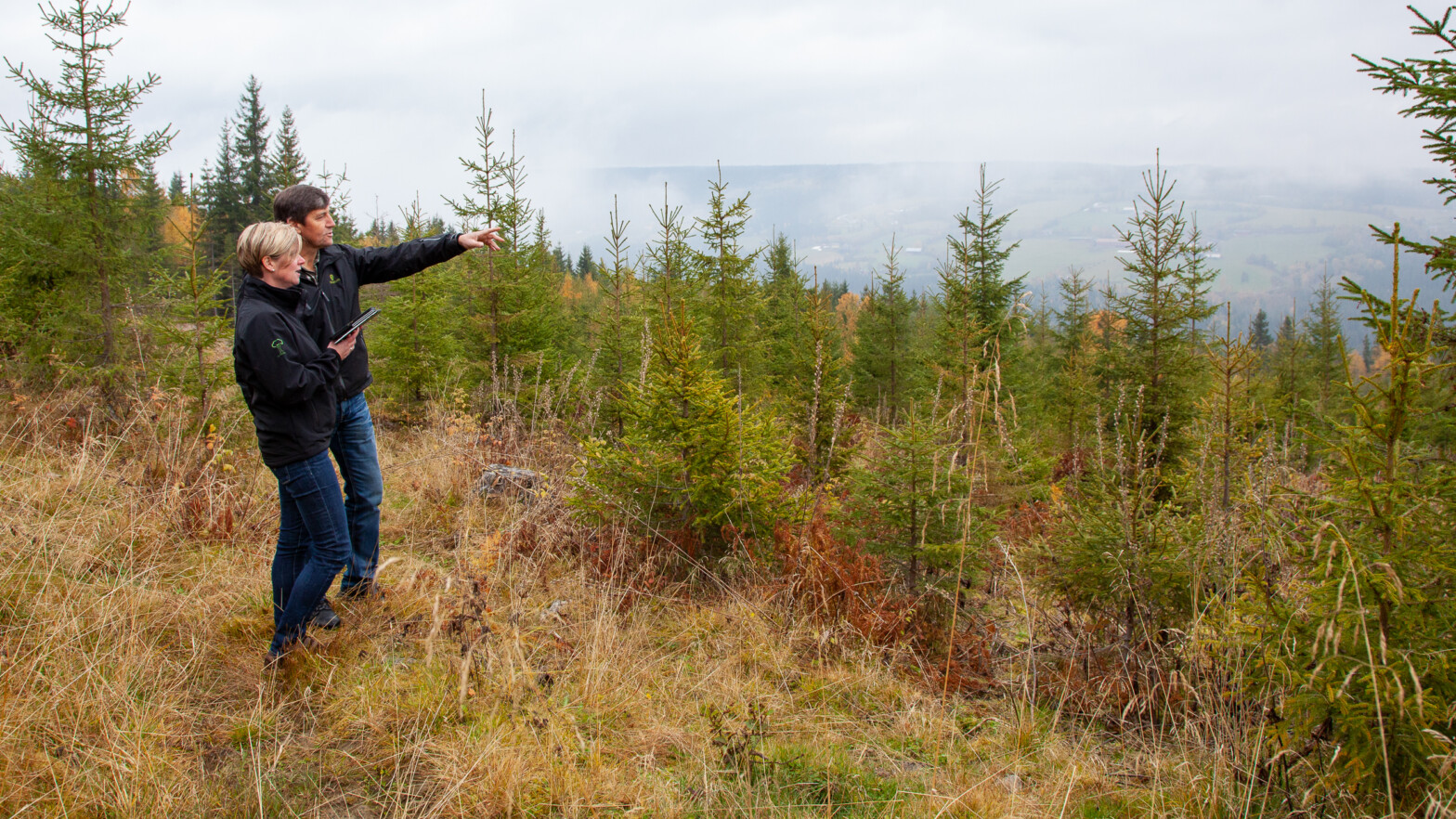 skogeiere på befaring i ungskog. Såt på toppen av feltet og ser utover en dal med ungskog og vurderer tiltak