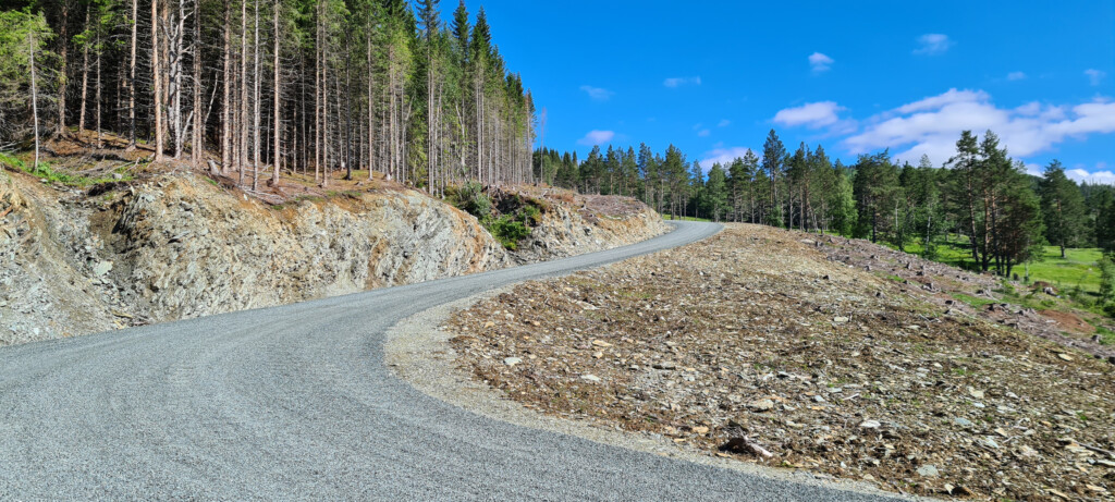 Nybygd skogsbilvei. Foto.