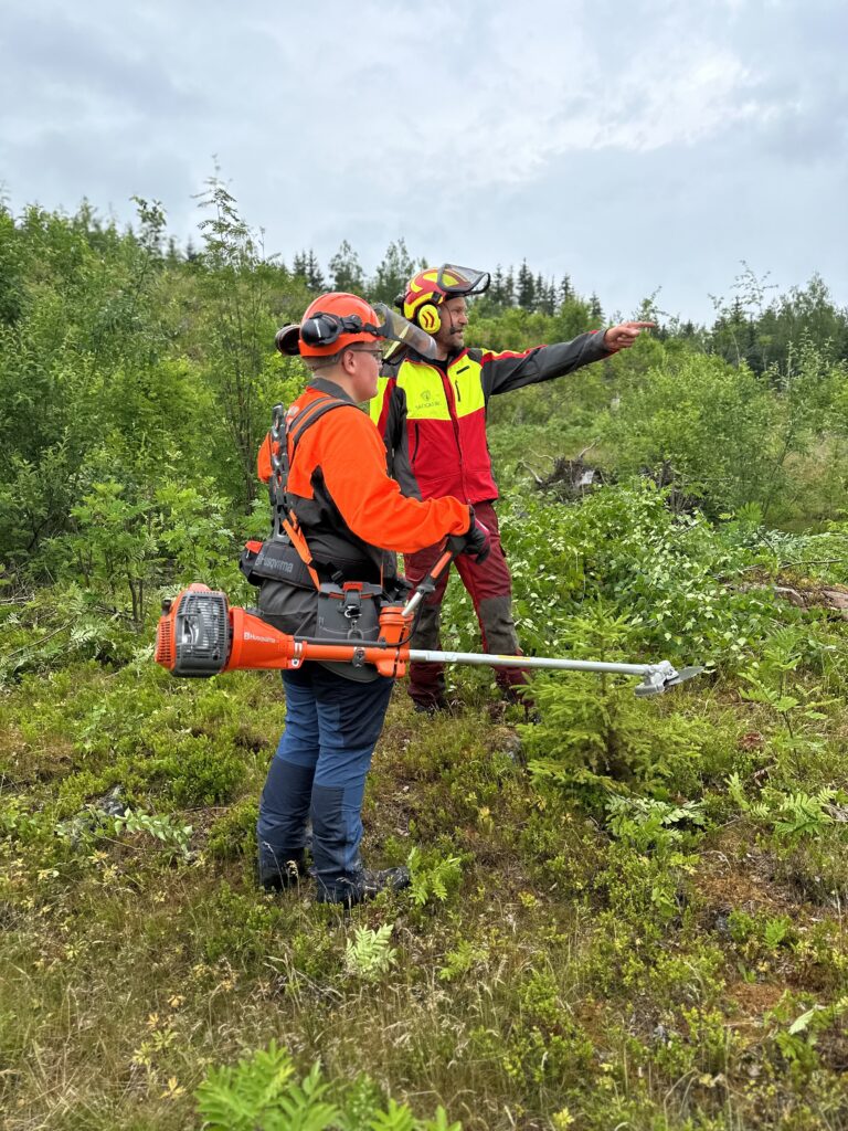 Bjørnar Sørbøen, Skogkurs instruktør lærer opp ungdom som har sommerjobb i skogen.