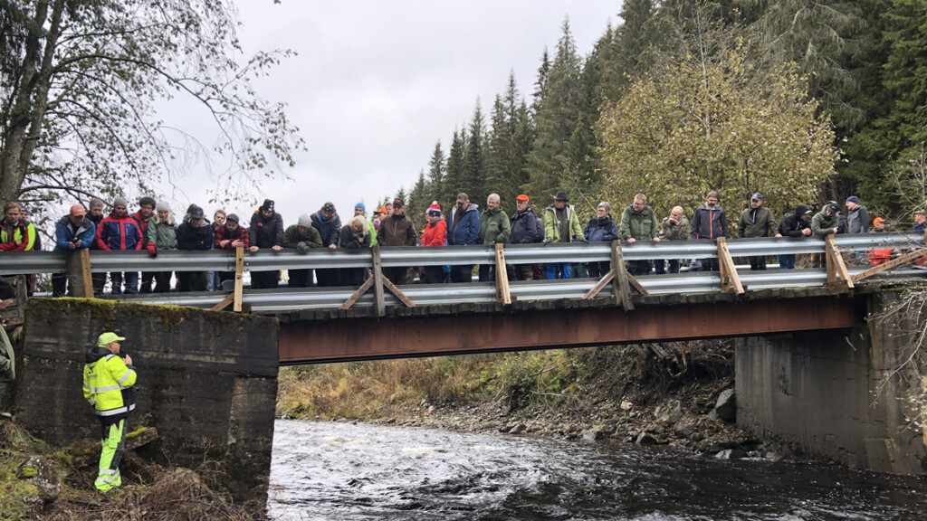 Bruer og byggeprosessen på en landbruksvei var årets tema på fagsamling vei 2019